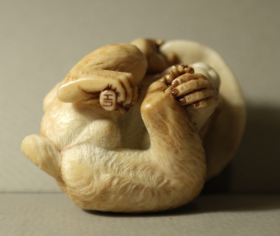 Monkey and reishi009